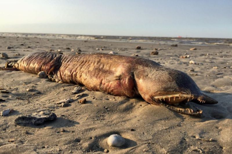 ccc99cac8de94d2f6653ad3849c1eca6