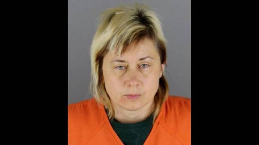 Nataliia Karia,A daycare provider has pleaded guilty to trying to kill a toddler. Hennepin County Sheriff’s Office