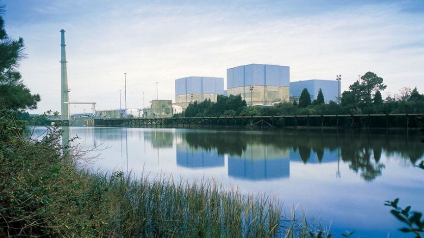 The Brunswick Nuclear Plant
