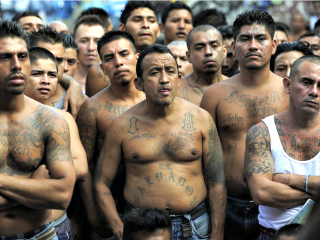 MS-13-Gang-Members-Getty-640x480