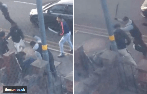 Opera Snapshot_2018-11-13_111418_plus.google.com