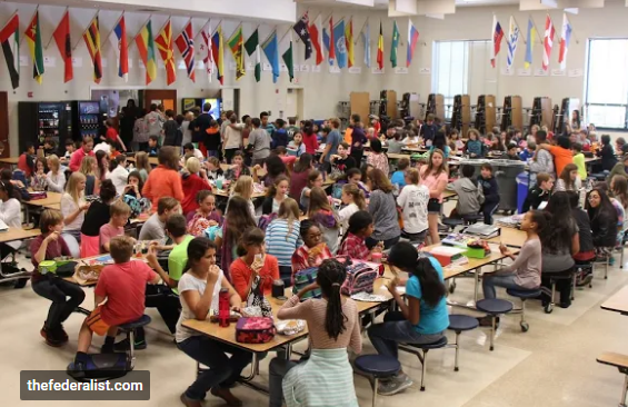 Opera Snapshot_2018-11-14_114622_plus.google.com