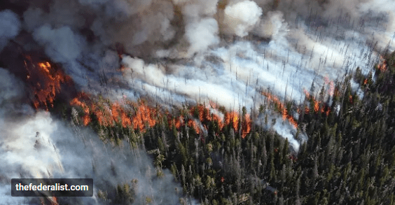 Opera Snapshot_2018-11-16_110421_plus.google.com