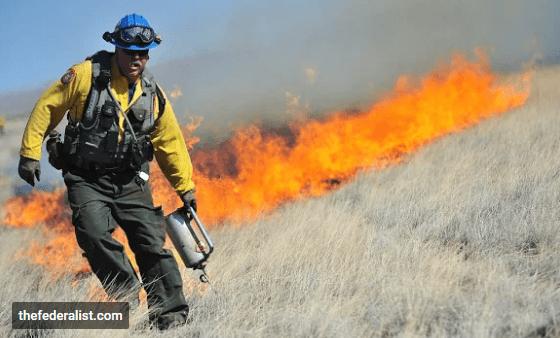 Opera Snapshot_2018-11-16_111548_plus.google.com