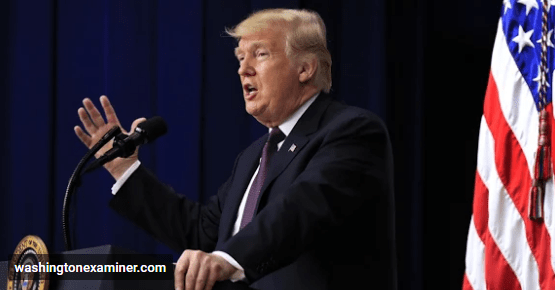 Opera Snapshot_2018-11-16_113030_plus.google.com