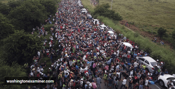 Opera Snapshot_2018-11-19_112258_plus.google.com