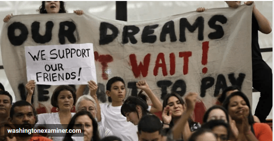 Opera Snapshot_2018-11-23_120006_plus.google.com