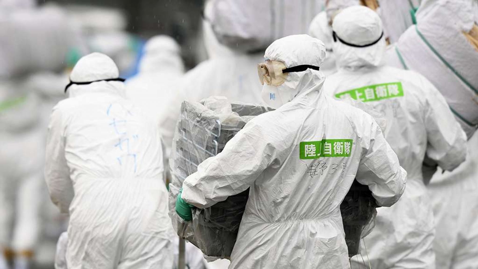 Members of the Japan Self-Defense Forces (JSDF)