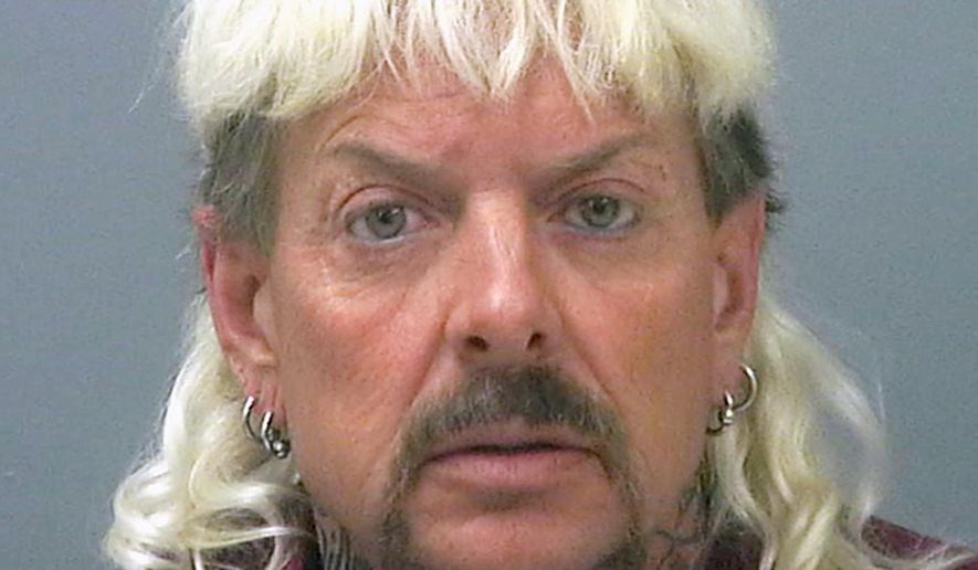 Joseph Maldonado-Passage