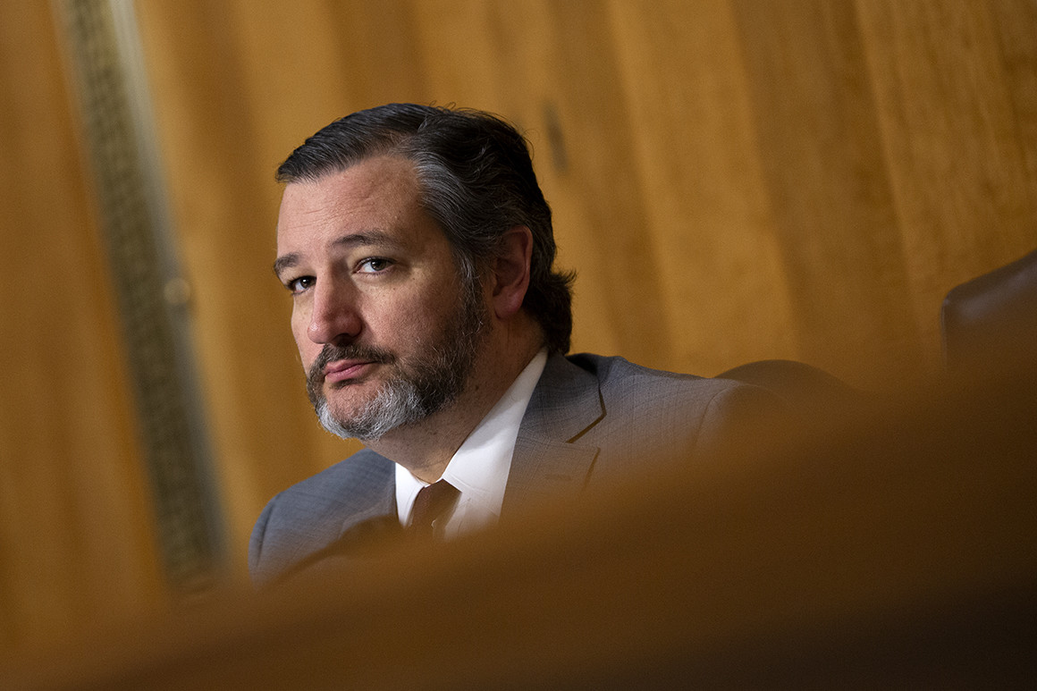Sen. Ted Cruz said he doesn't believe Halil Suleyman “Sul” Ozerden, President Donald Trump's nominee for the Fifth Circuit Court of Appeals, "meets the standard" of being a "constitutionalist."