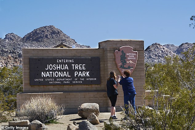 California will ban smoking on state parks and beaches starting next year under legislation signed by Gov. Gavin Newsom. Joshua Tree National Park is pictured 