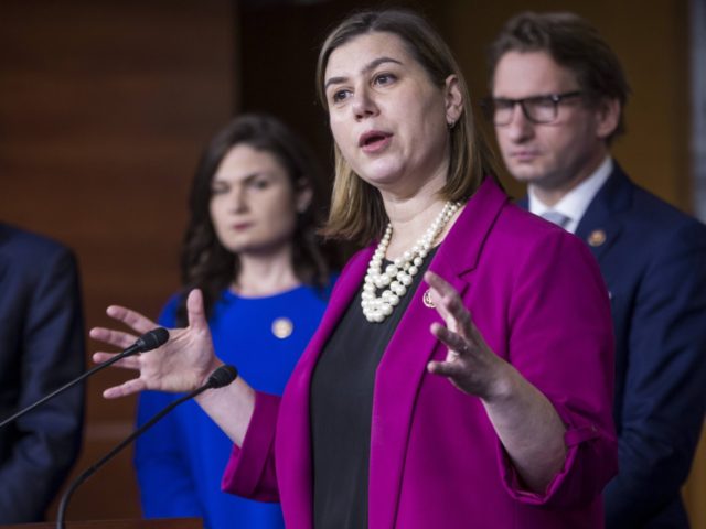WASHINGTON, DC - JANUARY 29: Rep. Elissa Slotkin (D-MI) speaks during news conference on the "Shutdown to End All Shutdowns (SEAS) Act" on January 29, 2019 in Washington, DC. Also pictured are Rep. Tom Molinowski (D-Zach Gibson