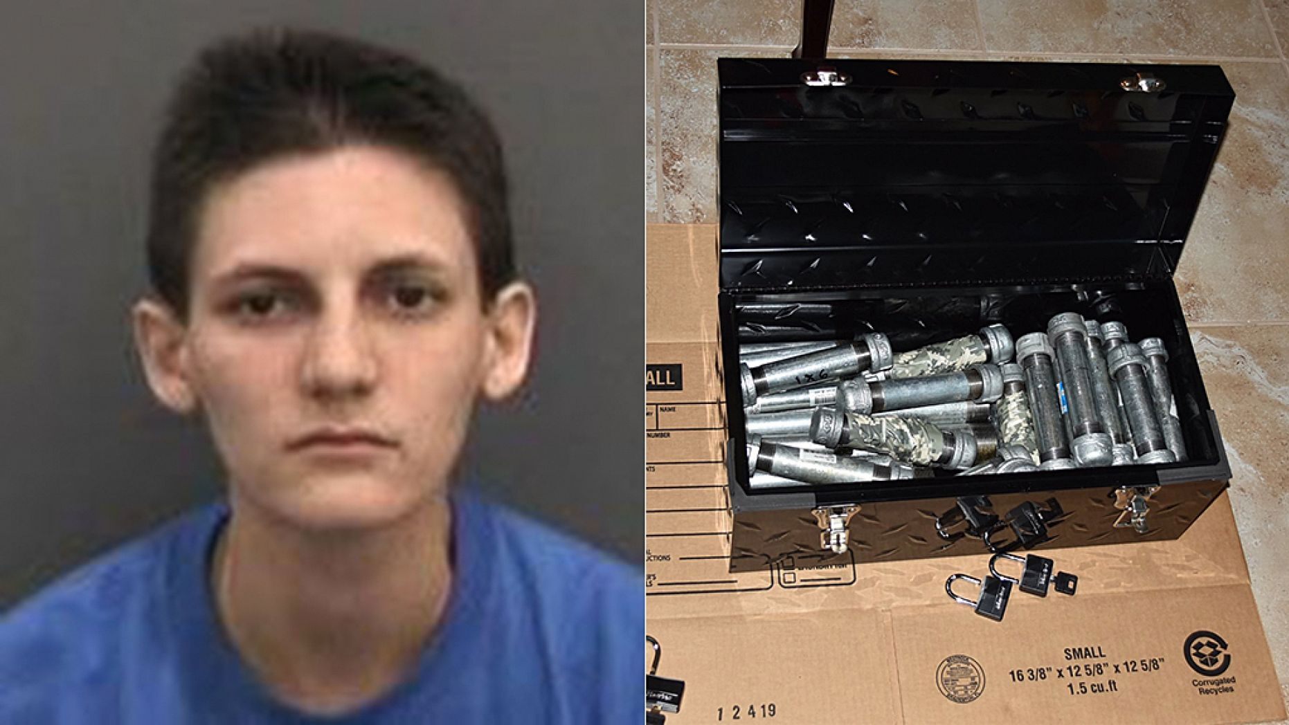 Mugshot for Michelle Louise Kolts, 27, of Wimauma, Fla., who was arrested authorities said after her parents found two dozen pipe bombs in her bedroom. 