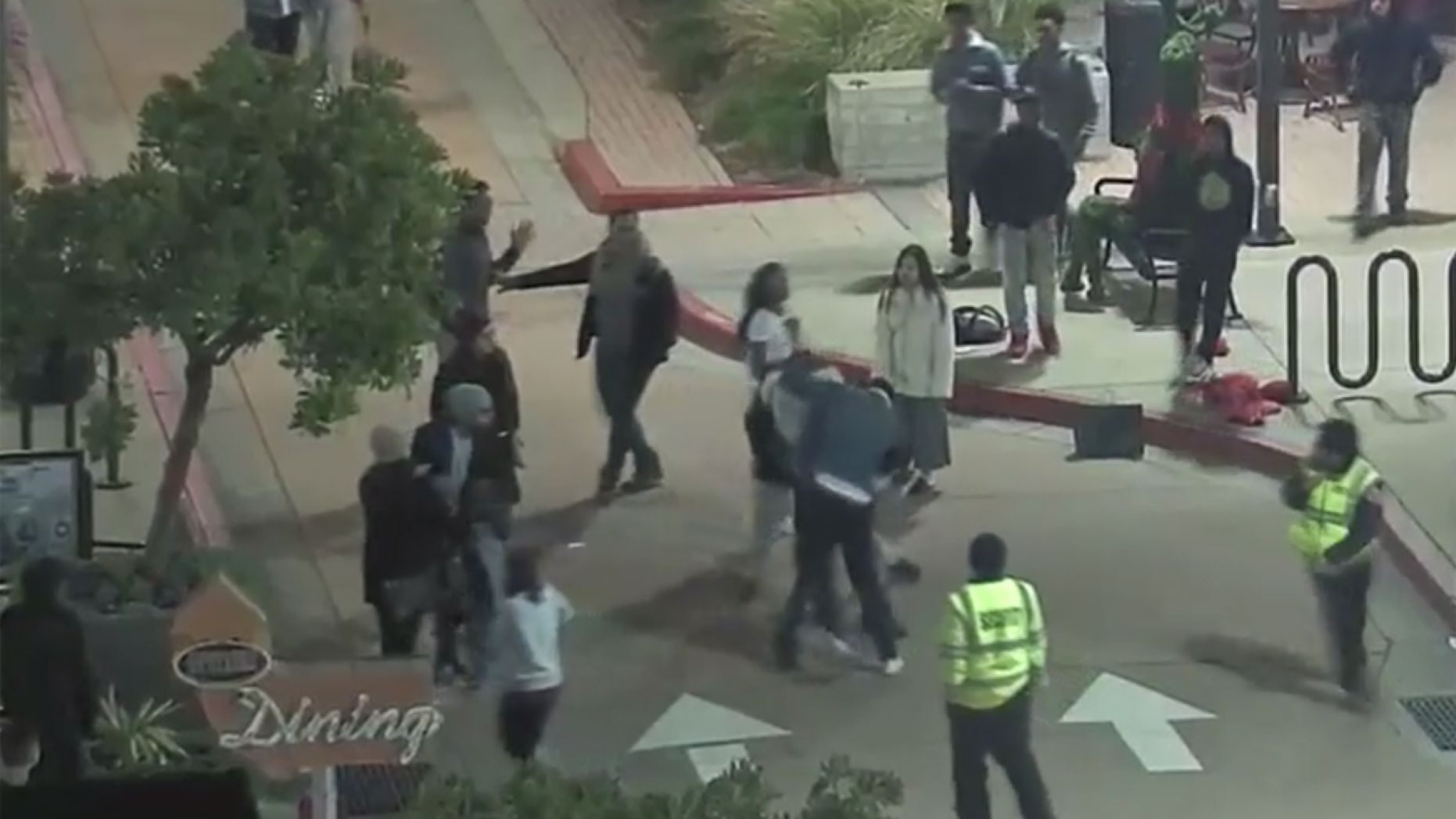 An attack involving an off-duty California Highway Patrol officer and a group of teens at a mall on Black Friday was caught on camera.