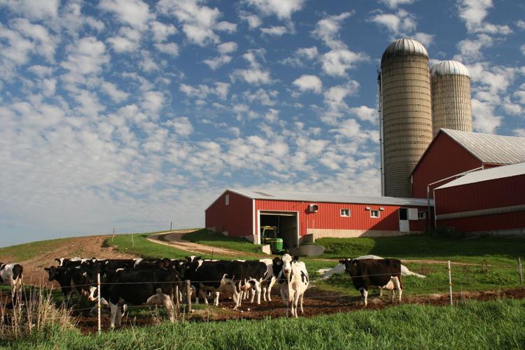 Wisconsin dairy farm

Nancy Gil | Shutterstock.com