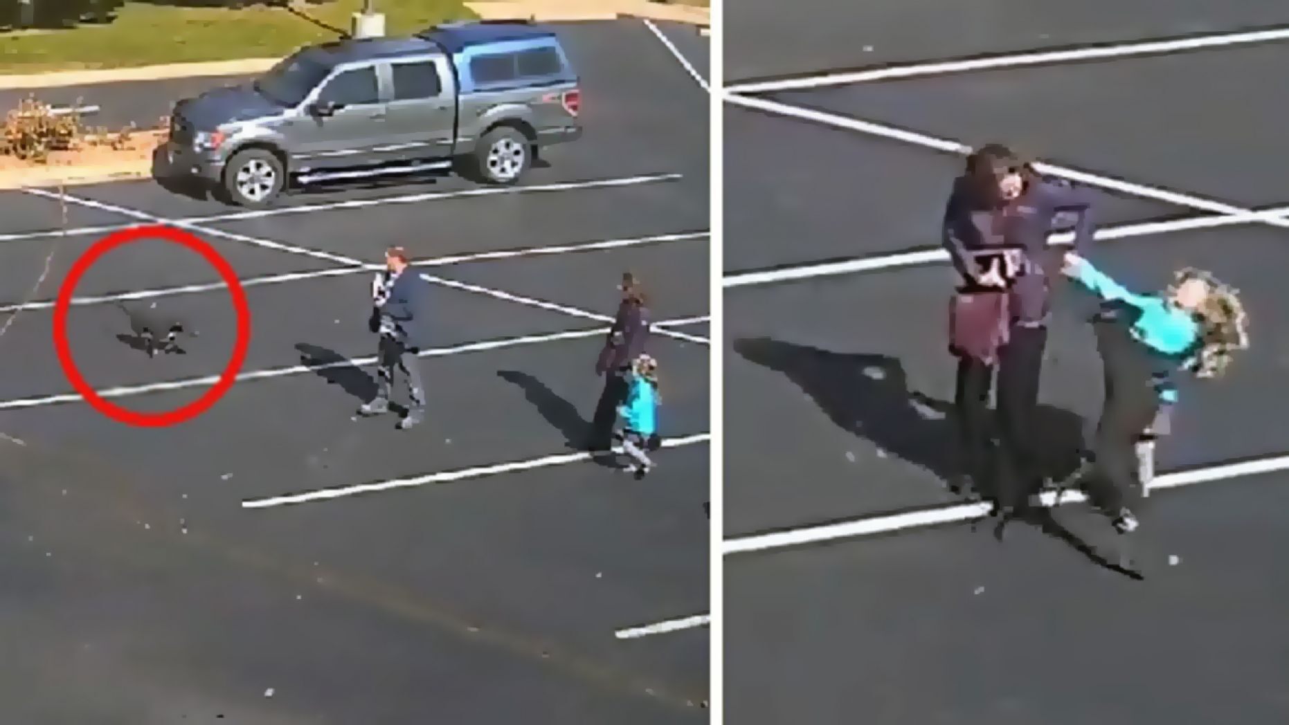 Surveillance footage shows a dog attack a child in a Colorado Springs, Colo. church parking lot