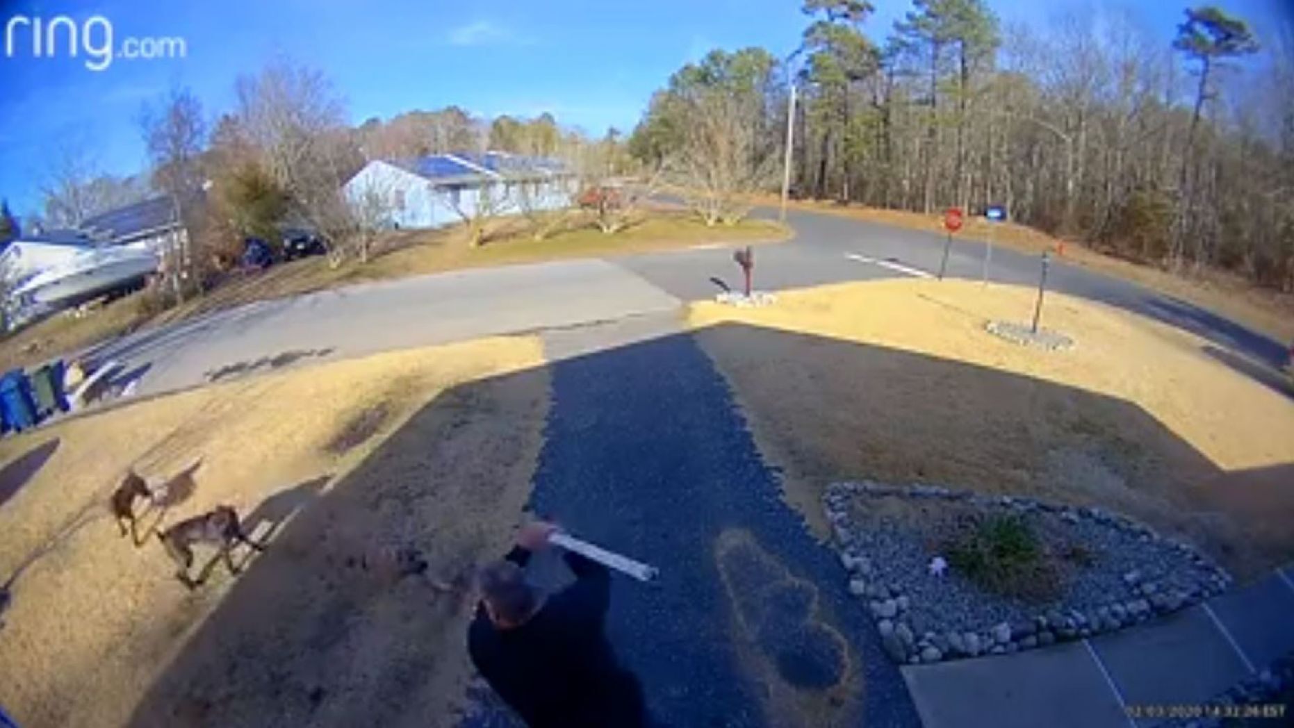 Three dogs charged a man named Mike after he tried to warn a neighbor that the pack was on the loose in the neighborhood again. (Little Egg Harbor Police Department)