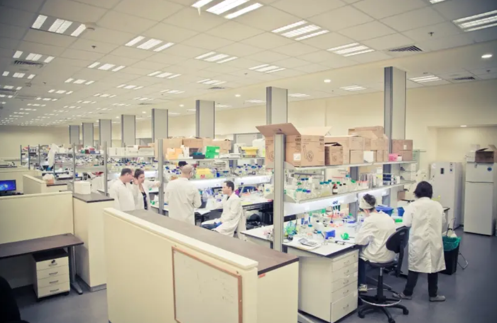 MIGAL researchers working vigorously to find a new coronavirus vaccine (photo credit: LIOR JOURNO)