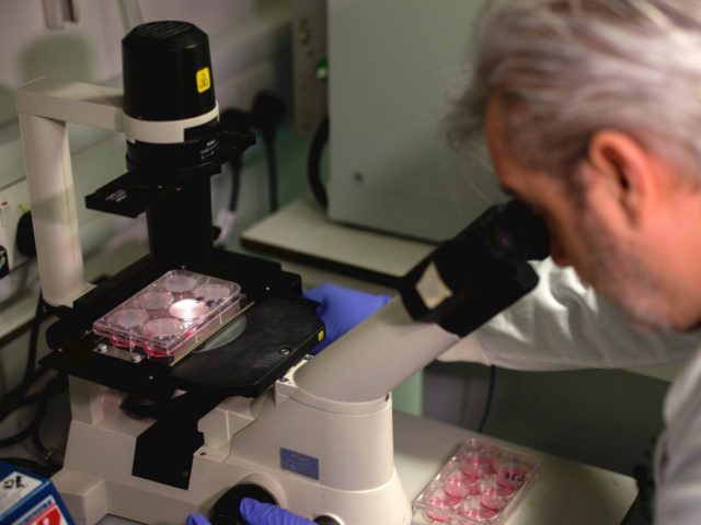 Tolga Akmen / AFP / Getty