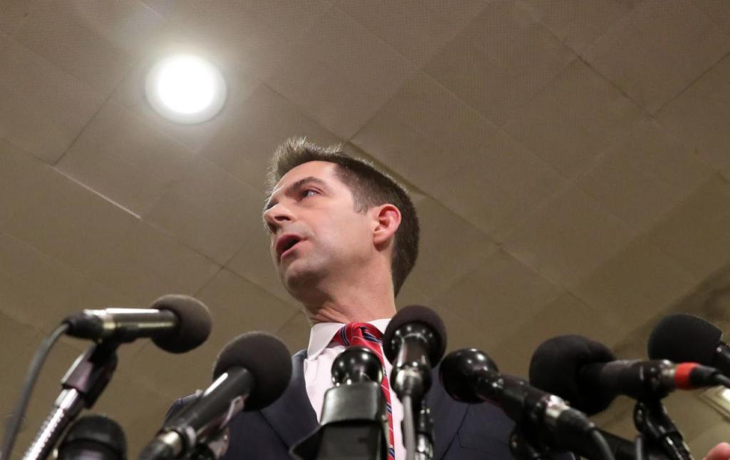 Arkansas GOP Sen. Tom Cotton on Capitol Hill
(Mark Wilson/Getty Images)