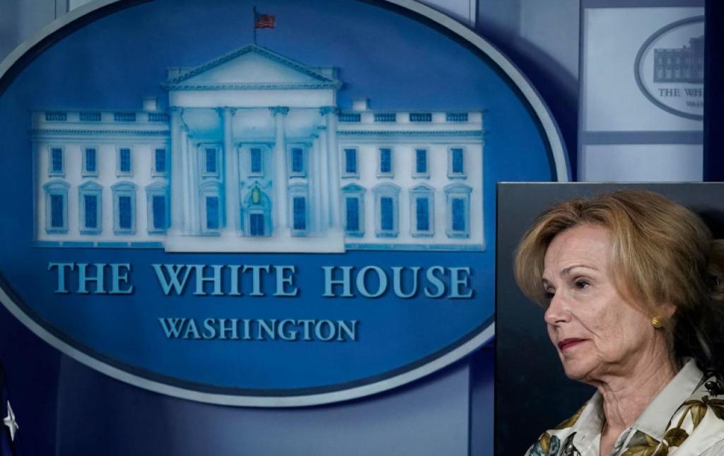 Dr. Deborah Birx at a White House briefing
(Drew Angerer / Getty Images)