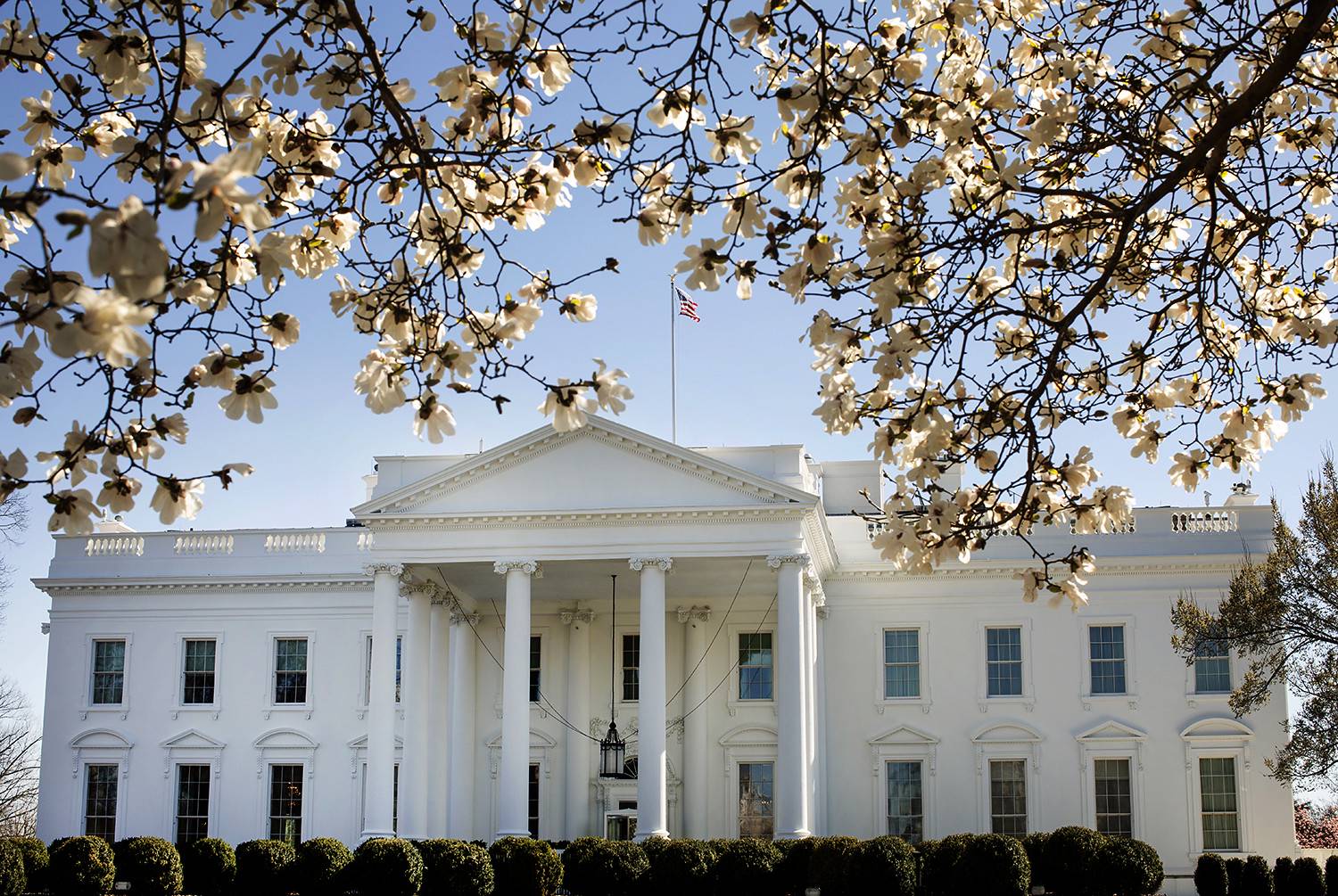 The White House North Lawn, March 26, 2019 on the North Lawn. 