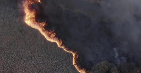 Footage shows wildfires near the nuclear disaster site this week.