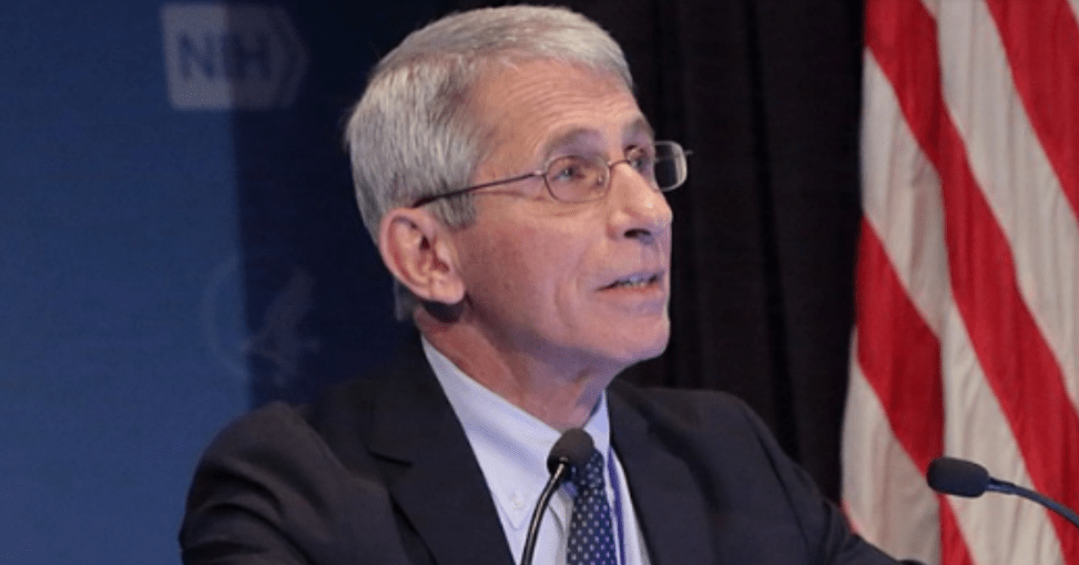 IMAGE CREDIT: WIKIMEDIA COMMONS/NIAID