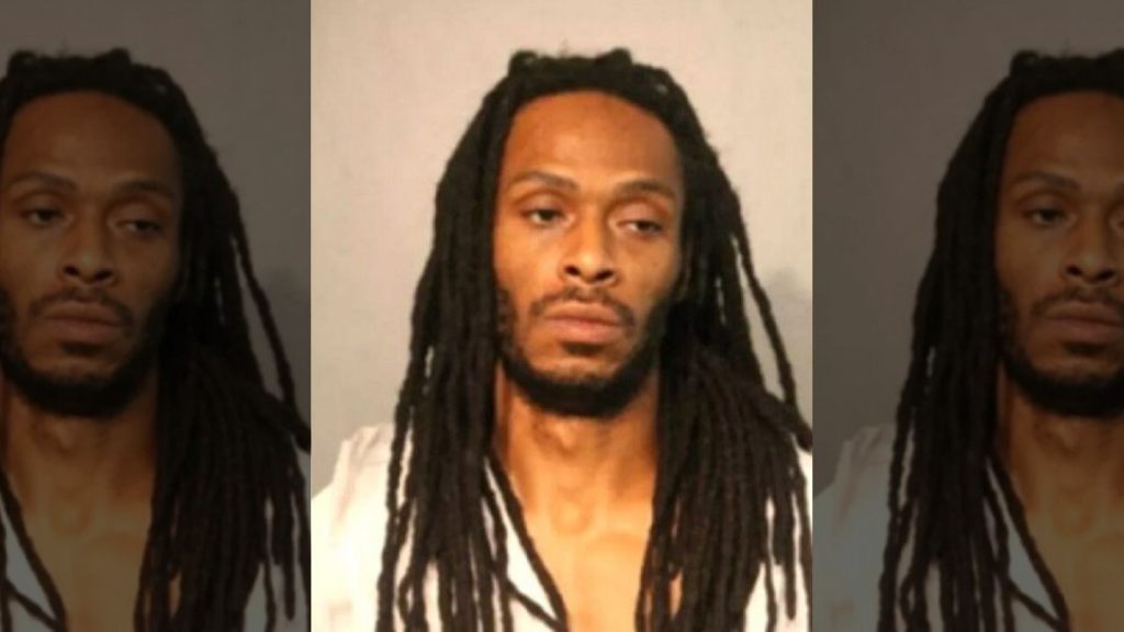 Darrell Johnson, 39, is accused of fatally shooting 9-year-old Janari Ricks in Chicago last week.