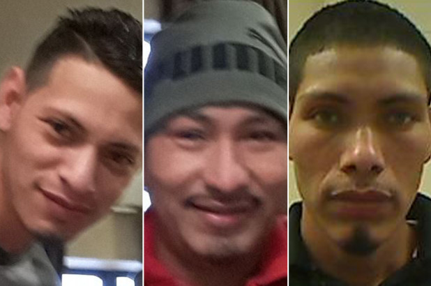 Elder Paz-Perez, Raul Paz-Perez, Wilmer Paz-PerezCity of Kenner