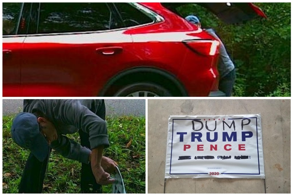 These are photos taken by a deer camera by a Pawleys Island resident