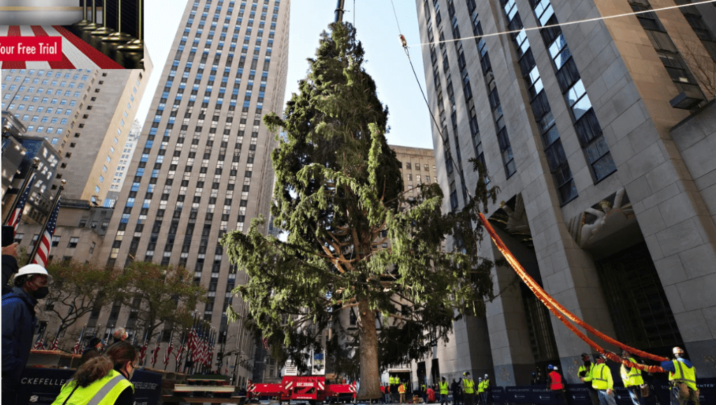 Photo by Cindy Ord/Getty Images