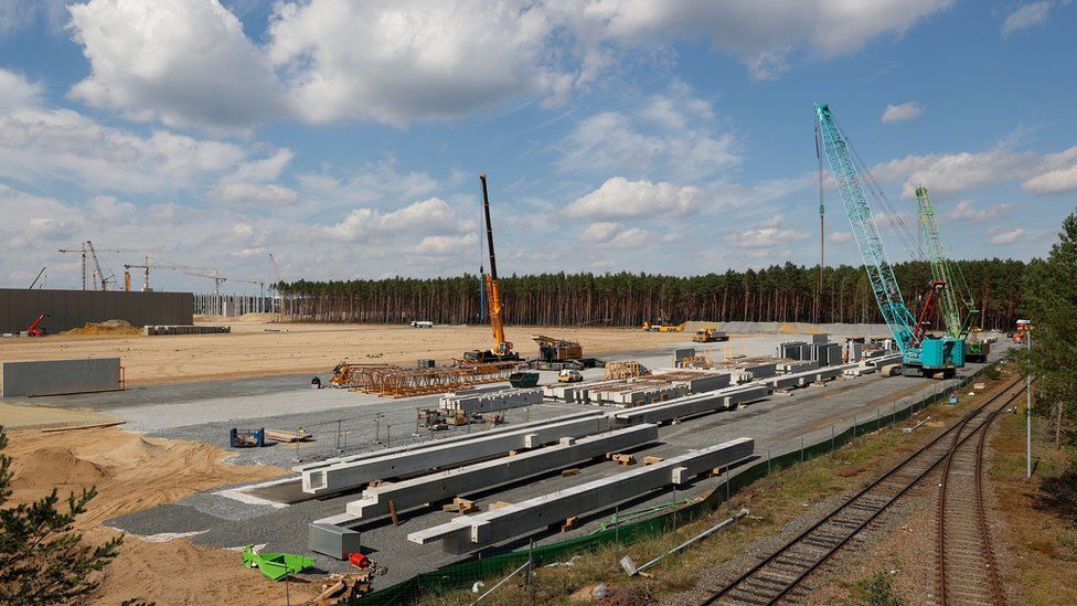 GETTY IMAGES
Environmentalists argue Tesla's Grünheide site will endanger local snake and lizard species