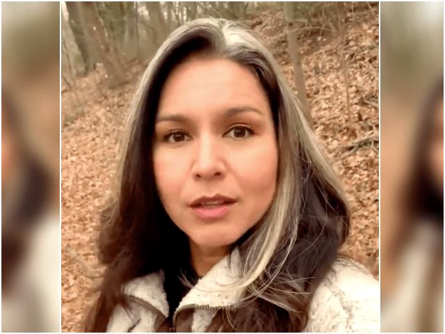 @TulsiGabbard via Twitter