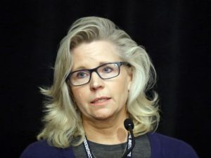 AP Photo/Matt Rourke