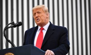 President Donald Trump speaks after touring a section of the border wall in Alamo, Texas on Jan. 12, 2021. (Mandel Ngan/AFP via Getty Images)