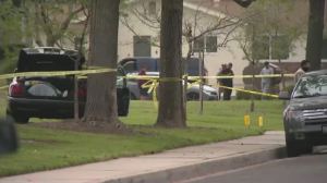 A woman and her dog were fatally stabbed near Lone Hill Park in San Dimas, a city in the San Gabriel Valley of Los Angeles County 