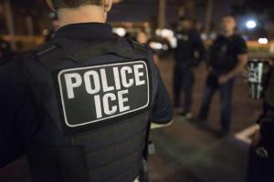 U.S. Immigration and Customs Enforcement (ICE) Officers. (ICE/Released)