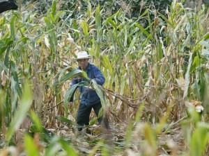 AFP / Stringer/Getty Images