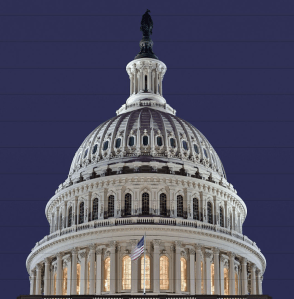 U.S. Capitol Dome
