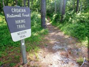Croatan National Forest (Paul Blake/TNS)