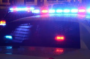 TFoxFoto | Shutterstock