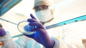 iStock.com/Reptile8488