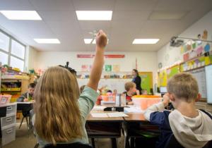 Kate Way / Shutterstock