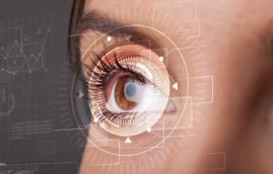 (© ra2 studio - stock.adobe.com)