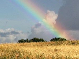 Christopher Lee/Getty Images