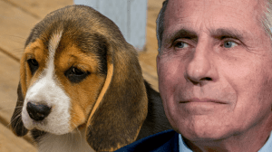 Stefani Reynolds/The New York Times via AP, Pool