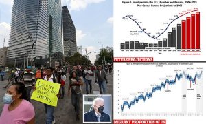 Provided by Daily Mail