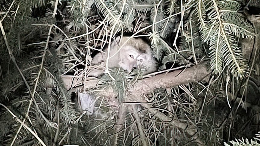 News and Headlines: 1/25/2022, Keeping you&nbsp;informed.