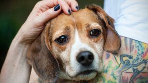 (Photo by Katherine Frey/The Washington Post)